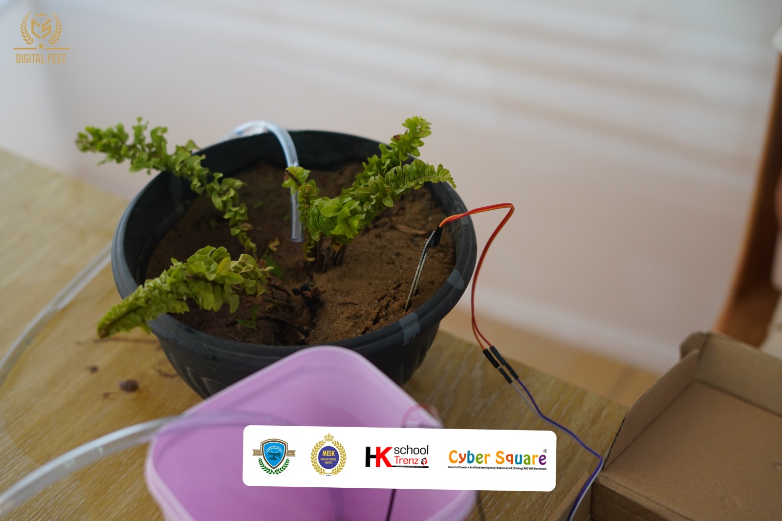 Digital Fest Exhibition